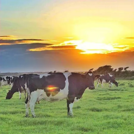 Gasthof Bannow Bay Seaside Farm Wellingtonbridge