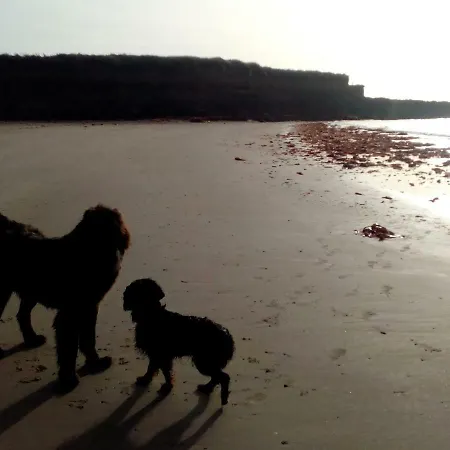 Bannow Bay Seaside Farm