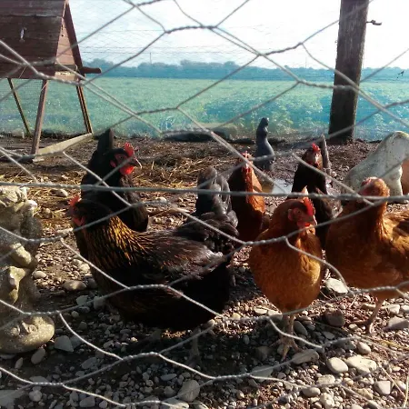 Bannow Bay Seaside Farm Wellingtonbridge
