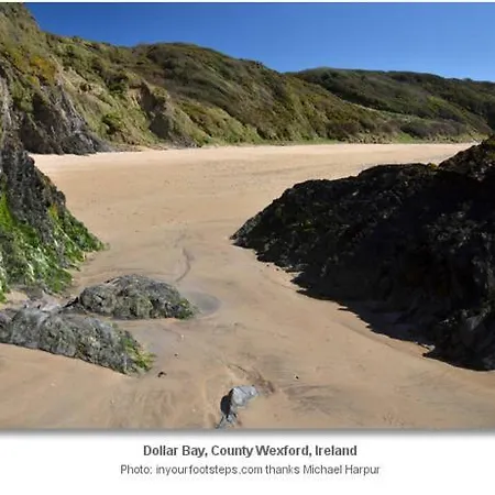 Bannow Bay Seaside Farm Gasthof Wellingtonbridge
