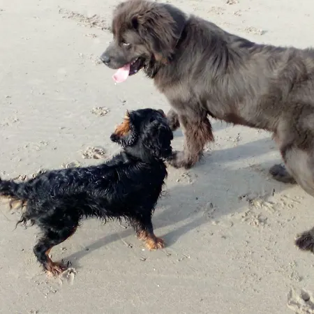 Bannow Bay Seaside Farm 4* Wellingtonbridge