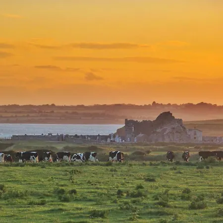 Bannow Bay Seaside Farm Wellingtonbridge