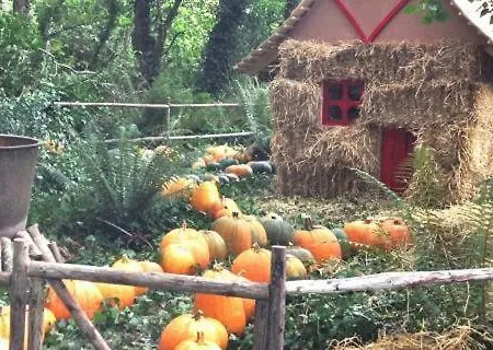 Bannow Bay Seaside Farm 4* Wellingtonbridge