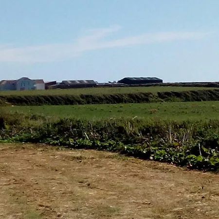 Bannow Bay Seaside Farm Gasthof Wellingtonbridge