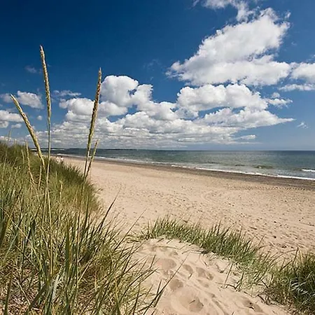 Bannow Bay Seaside Farm Gasthof Wellingtonbridge