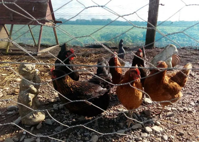 Bannow Bay Seaside Farm Wellingtonbridge