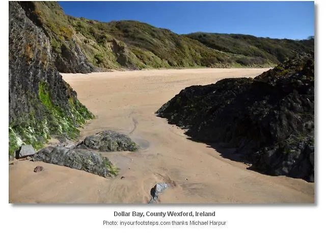 Bannow Bay Seaside Farm Guest house Wellingtonbridge