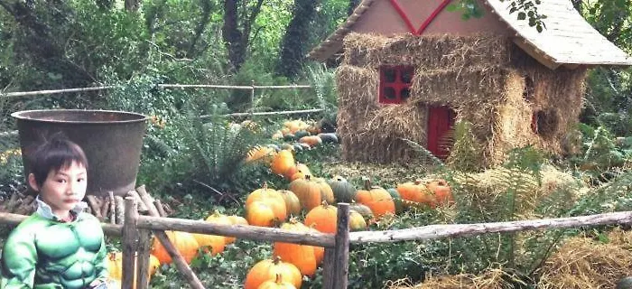 Bannow Bay Seaside Farm 4* Wellingtonbridge