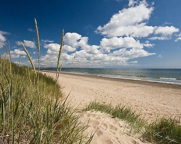 Bannow Bay Seaside Farm Guest house Wellingtonbridge